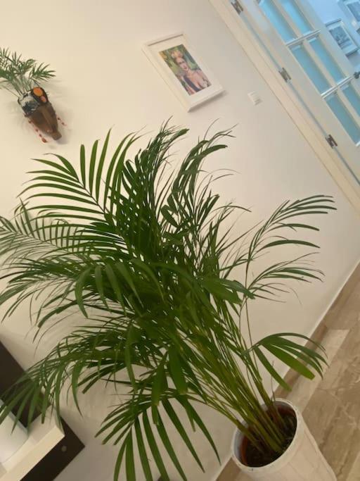 דירות Casa Mina קדיז מראה חיצוני תמונה